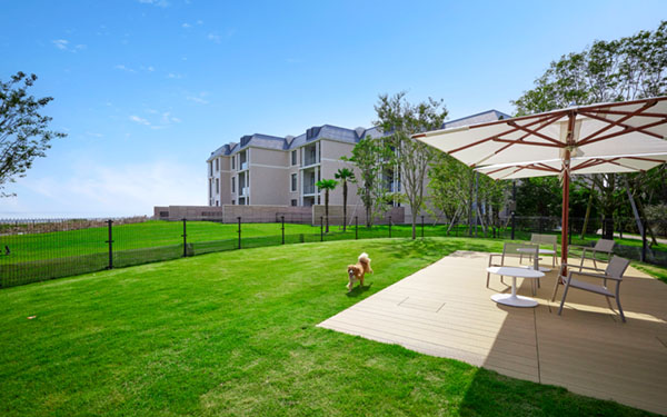 画像：ドッグラン