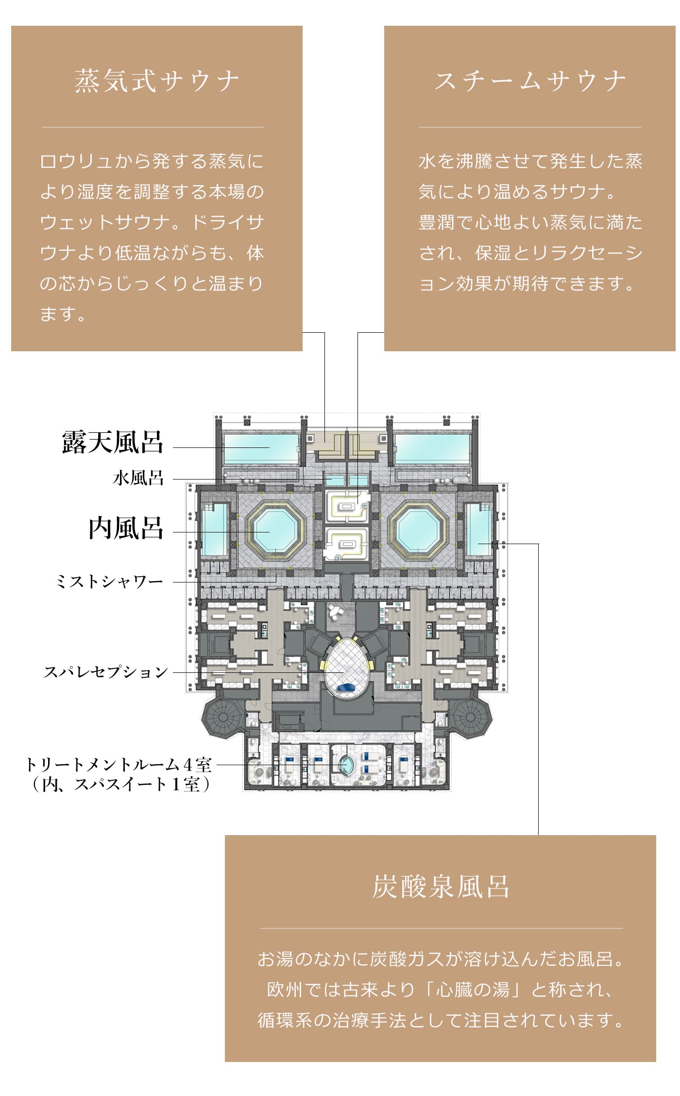 画像：スパ&トリートメントサロンの平面図